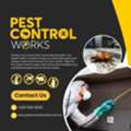 Pest Control Services In Taylors Hill For Effective Pest Control | Pest Control Works
