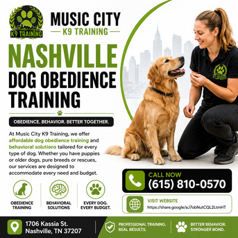 New York, Pet Sitting, Best Dog Trainers In Nashville | Trusted Dog Training Experts