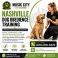 Best Dog Trainers In Nashville | Trusted Dog Training Experts