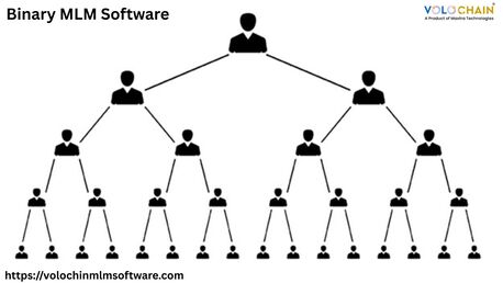 Noida, Software Development, Powerful Binary MLM Software For Quick Network Expansion & Success