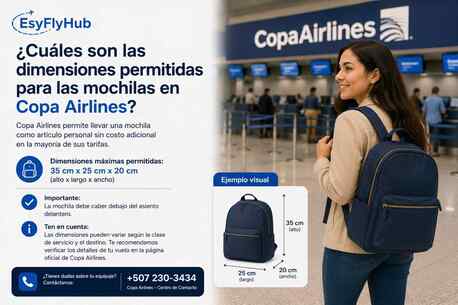 New York, Travel, ¿Cuáles Son Las Dimensiones Permitidas Para Las Mochilas En Copa Airlines?