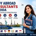 Best Study Abroad Consultant In Noida & Delhi NCR