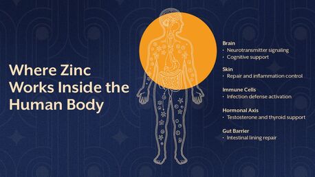 Pune, Guest Posting, Signs Of Zinc Deficiency You Should Not Ignore