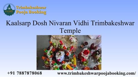 Mumbai, Career Counseling, Kaalsarp Dosh Nivaran Vidhi Trimbakeshwar Temple
