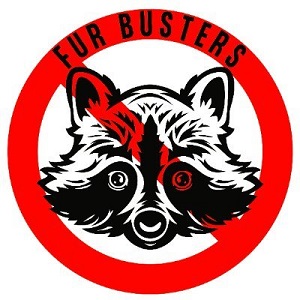 New York, Business, Fur Busters Wildlife