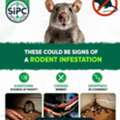 SIPC Rodent Control Services In Bangalore |