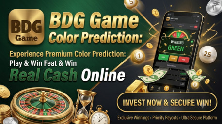 Goa, Business, BDG Game Color Prediction: Play & Win Real Cash Online