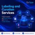 Create Consistent And Diverse Datasets With EnFuse&rsquo;s Curation Solutions