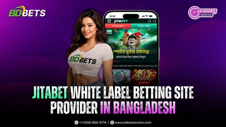 Dhaka, Web Design & Development, Jita Betting Website Provider In Bangladesh