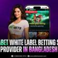 Jita Betting Website Provider In Bangladesh