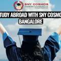 Abroad Education Consultants In Bangalore | SNY Cosmos