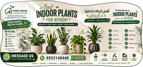 Riyadh, Farm/Garden, 🌿 Professional Gardening Maintenance | Landscaping | Indoor Plants | Decorative Planters