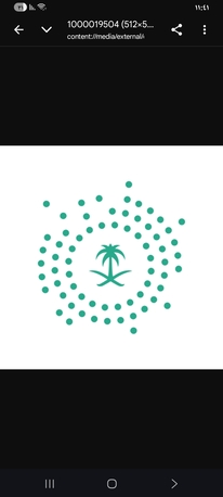 Riyadh, Legal, Government Services