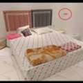 SAR 3000, Furniture