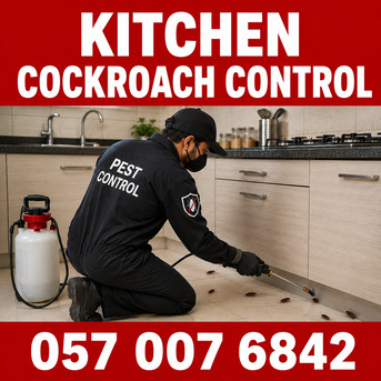 Akrabia, Pest Control, ✅✅✅ KITCHEN COCKROACH CONTROL – ✅ 057 007 6842 ✅✅✅
