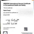 I'm Looking For Job In HSE Field.safty Officer,wpr,and Also I Have Experience As Rigger3,2