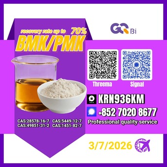 Kabul, Books, AFN 123,  New PM.K 28578-16-7/ BM.K CAS:5449-12-7/ Fast Worldwide Delivery