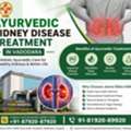 Integrated Kidney Hospital Vadodara | Ayurveda & Panchakarma