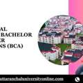 Uttaranchal University Bachelor Of Computer Applications (BCA) Placement