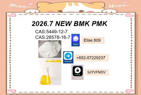 Kabul, Wholesale Products, BMK 5449-12-7 PMK 28578-16-7 Focus On Value & Application