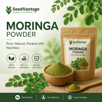 Odisha, Food, Premium Moringa Powder Manufacturers For Global Quality Standards