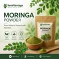 Premium Moringa Powder Manufacturers For Global Quality Standards
