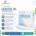 Lescol XL Tablet (Fluvastatin) &ndash; Effective Lipid-Lowering Medicine