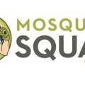 Mosquito Squad Of The Triad