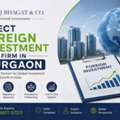 Leading Direct Foreign Investment Firm In Gurgaon For FDI Advisory Services