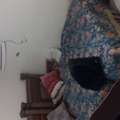SAR 1000/month,  Room