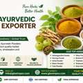 Premium Herbal & Ayurvedic Powders Exporter From India &ndash; Bulk Supply Worldwide