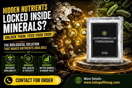 New York, Farm & Garden, USD 50,  Support Nutrient Release In Crop Soil Using Acidithiobacillus Ferrooxidans - Contact For O
