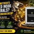 USD 50,  Support Nutrient Release In Crop Soil Using Acidithiobacillus Ferrooxidans - Contact For O