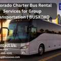 Colorado Charter Bus Rental Services For Group Transportation | BUSXOXO
