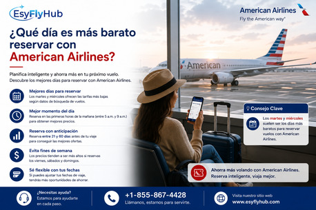 New York, Travel, ¿Cómo Consultar El Estado De Vuelo De American Airlines?