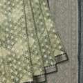 Latest Light Green Saree Designs | Mavuris