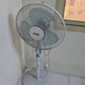 BHD 5,  Pedestrian Fan For Sale