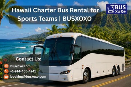 New York, Travel, Hawaii Charter Bus Rental For Sports Teams | BUSXOXO