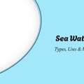 INR 38000,  Sea Water Pumps: Types, Uses & Manufacturer Guide
