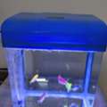 SAR 250,  Finsh Aquarium For Room With 6 Colored Fishes