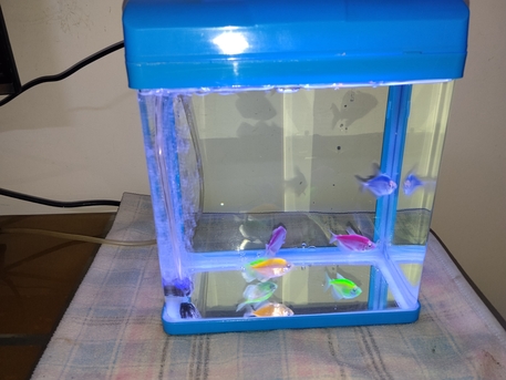 Riyadh, Household Items, SAR 250,  Finsh Aquarium For Room With 6 Colored Fishes