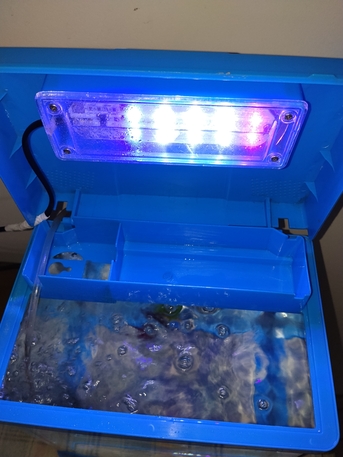 Riyadh, Household Items, SAR 250,  Finsh Aquarium For Room With 6 Colored Fishes