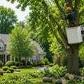 Professional Tree Removal & Landscaping Services In NY