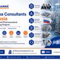 Pharma Consultants In Russia For End-to-End Pharmaceutical Manufacturing Projects