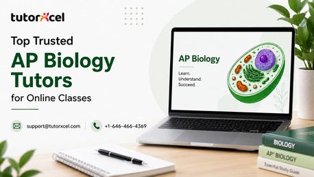 New York, Education, Top Trusted AP Biology Tutors For Online Classes