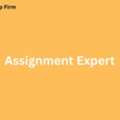 How To Choose The Right Assignment Expert For You