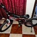SAR 280,  Cycle