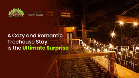 New York, Travel, Affordable Treehouse Rentals Near Me &ndash; Book Your Nature Stay Today