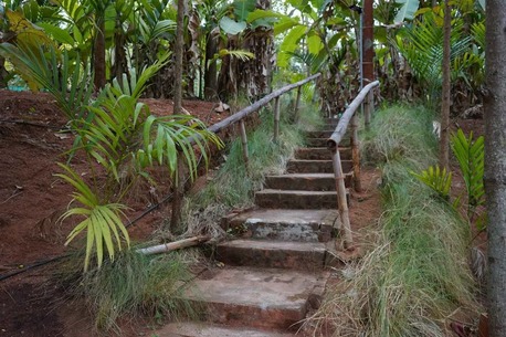 Bangalore, Real Estate, Pet Friendly Farm Stay Near Bangalore: The Perfect Getaway With Your Furry Friends