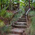 Pet Friendly Farm Stay Near Bangalore: The Perfect Getaway With Your Furry Friends
